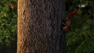 Hammy's Boomerang Adventure still 8