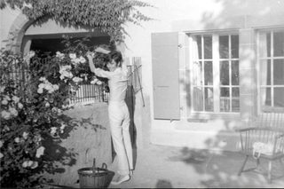 Audrey still 1