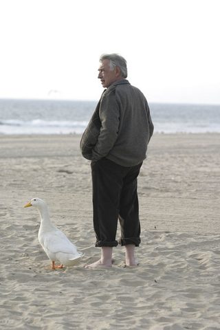 Duck still 2