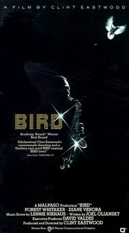 Bird still 7