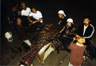 Godzilla vs. Megaguirus still 6