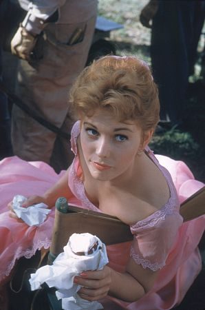 Picnic still 4
