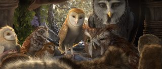 Legend of the Guardians: The Owls of Ga'Hoole still 1
