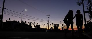Tangerine still 3