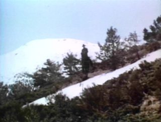 White Comanche still 8