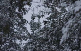 Edge of Winter still 7