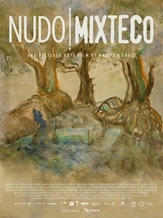 Nudo mixteco still 3