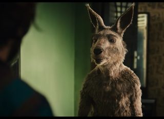 The Kangaroo Chronicles still 1
