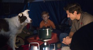 The Stray still 4