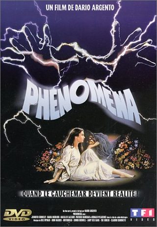Phenomena still 6