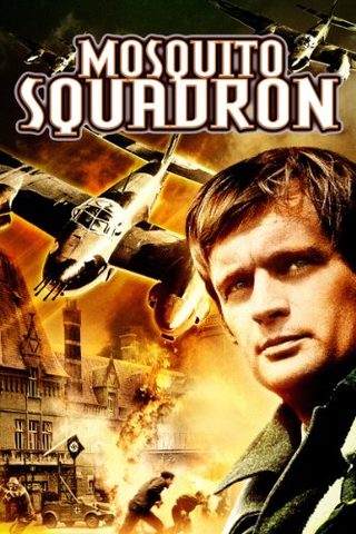 Mosquito Squadron still 2
