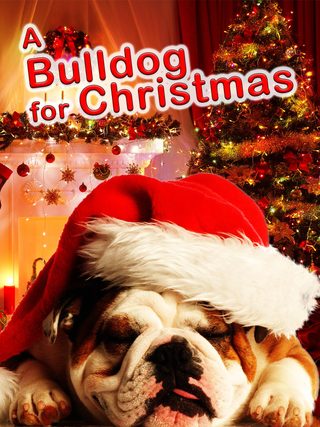 A Bulldog for Christmas still 2