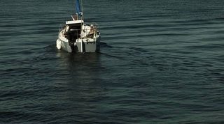 Raiders of the Lost Shark still 2