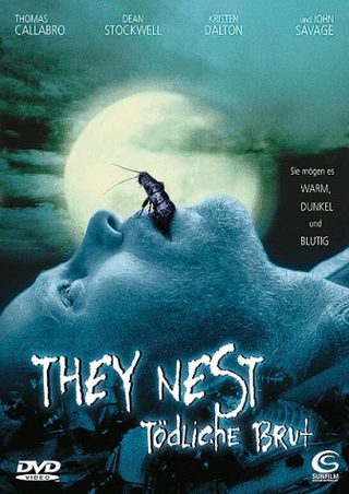 They Nest still 2