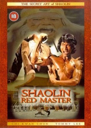 Shaolin Tough Kid still 4