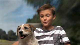A Doggone Hollywood still 6