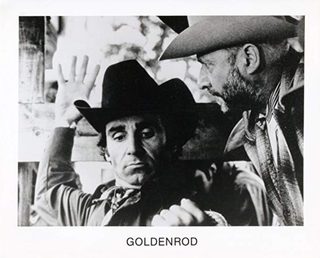 Goldenrod still 4