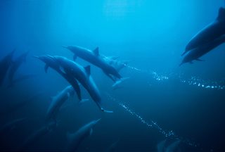 Deep Blue still 3