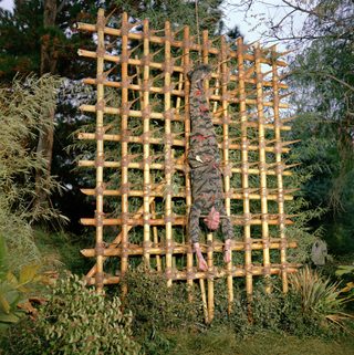 The Green Berets still 5