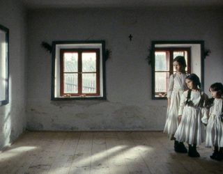 Wild Flowers still 8