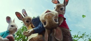 Peter Rabbit still 6