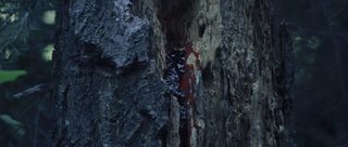 To Die Alone still 1