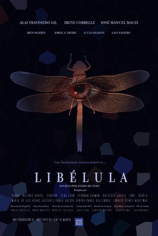Libélula still 5