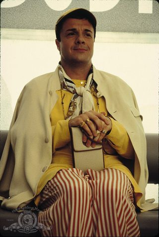 The Birdcage still 8