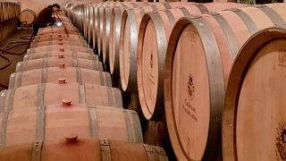 Terroir To Table: Wine Lovers' Guide to Food and Wine still 7