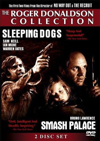 Sleeping Dogs still 3