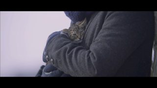If Cats Disappeared from the World still 2
