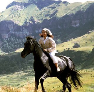 Young Black Stallion still 5