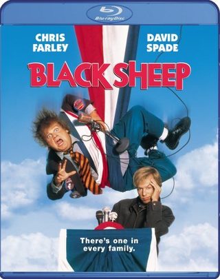 Black Sheep still 8