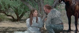 The Animals still 3