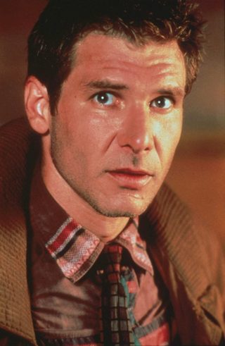 Harrison Ford, photo 3 of 3