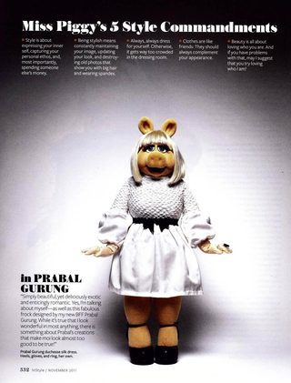 The Muppets still 4