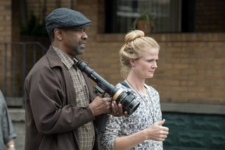 Fences still 3