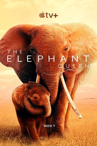 The Elephant Queen still 4