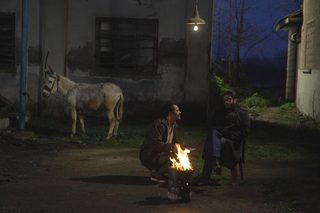 Cinema Donkey still 6