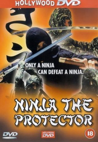 Ninja the Protector still 6
