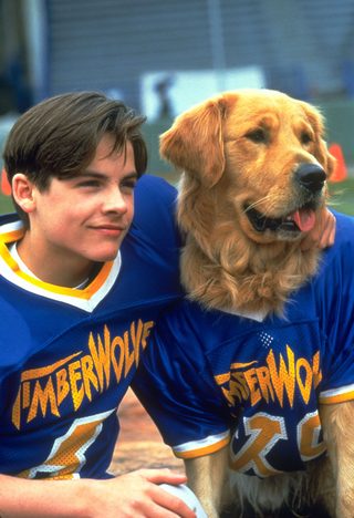 Air Bud: Golden Receiver still 5