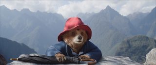Paddington in Peru still 5
