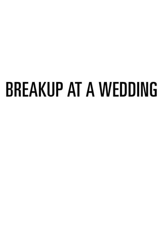 Breakup at a Wedding still 5