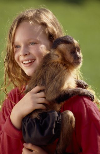 Monkey Trouble still 5