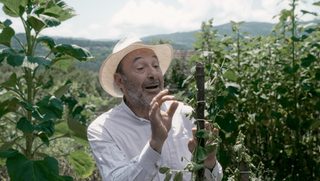 El tirabeque still 3