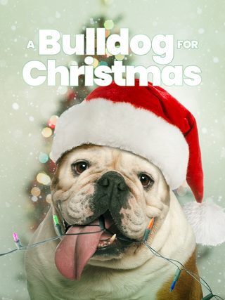 A Bulldog for Christmas still 4