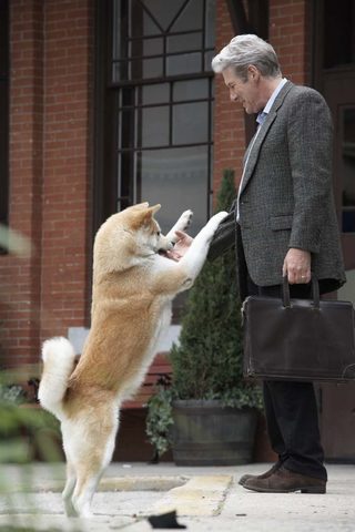 Hachi: A Dog's Tale still 2