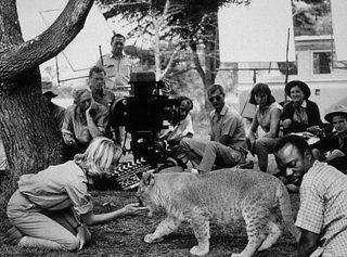 Born Free still 5