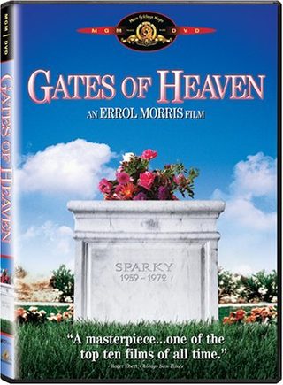 Gates of Heaven still 1