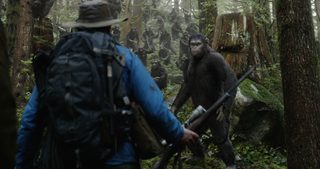 Dawn of the Planet of the Apes still 2